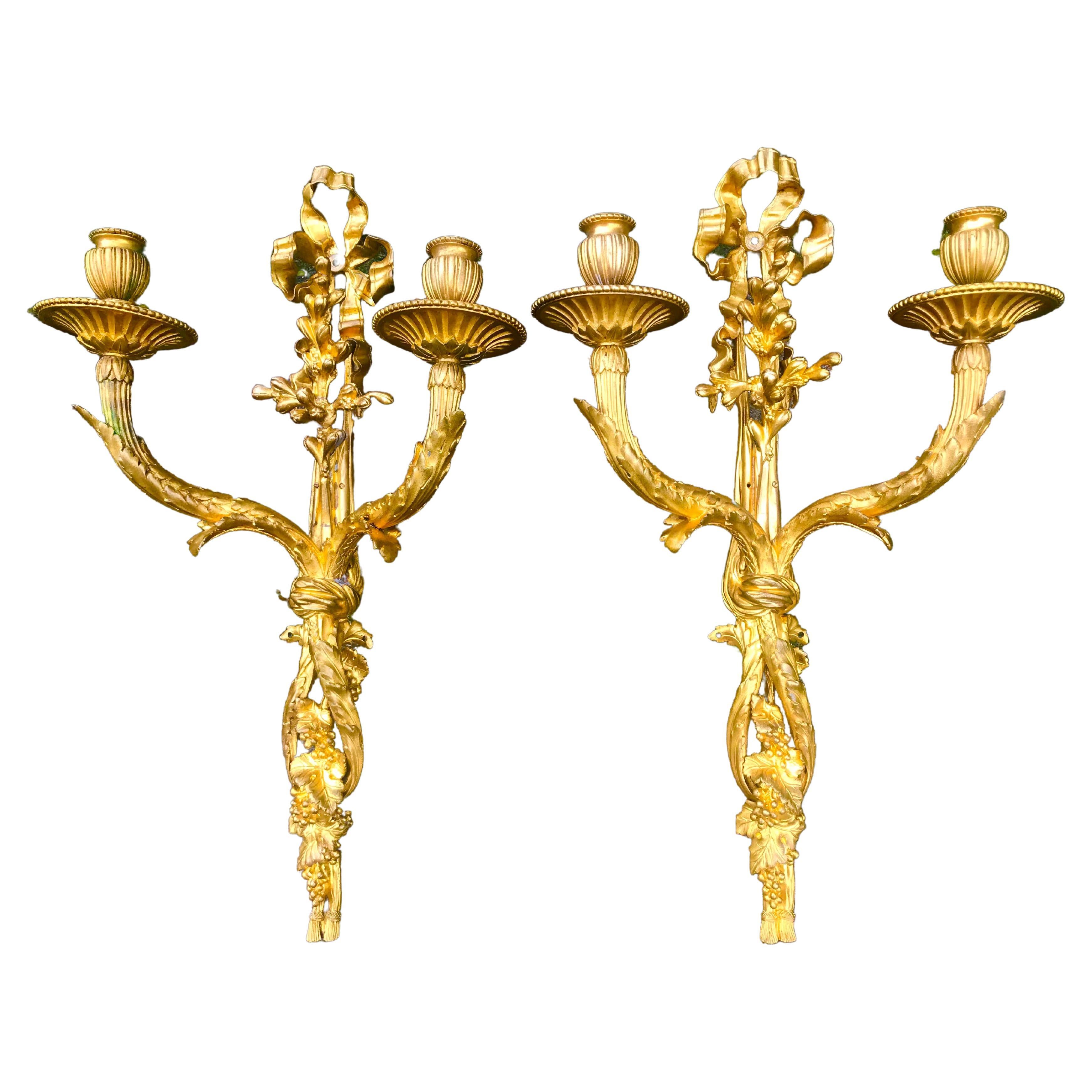 Tall Pair of Gilt Bronze Dore Louis XVI Style Wall Sconces