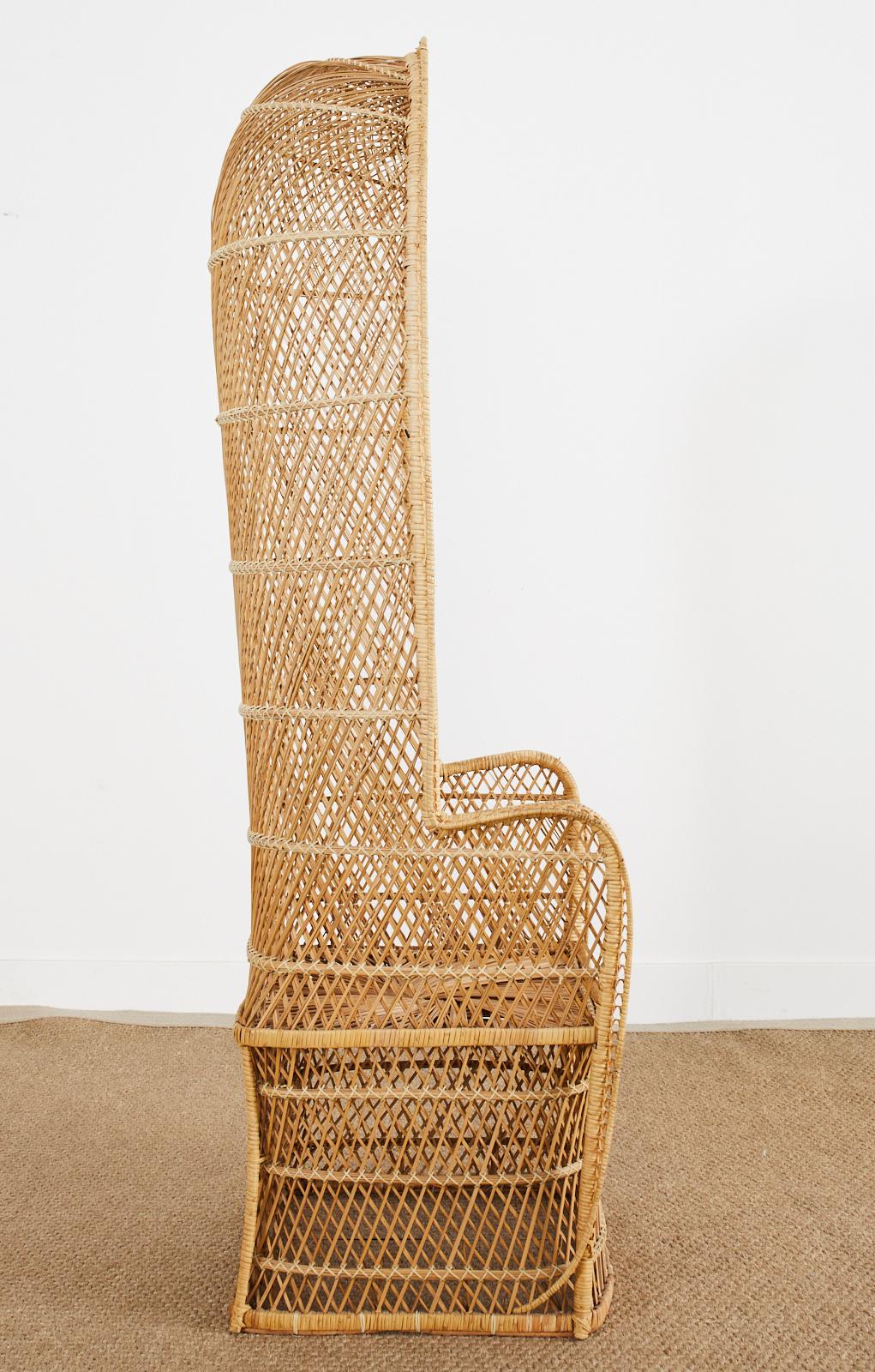 modern peacock chair