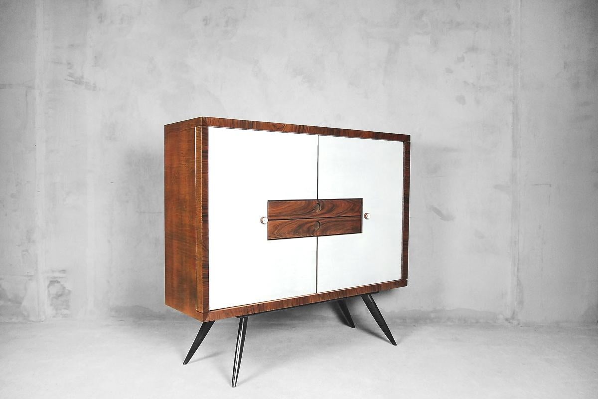 Tall Rosewood Italian Modern Cabinet with Drawers, 1950s In Good Condition In Warsaw, PL