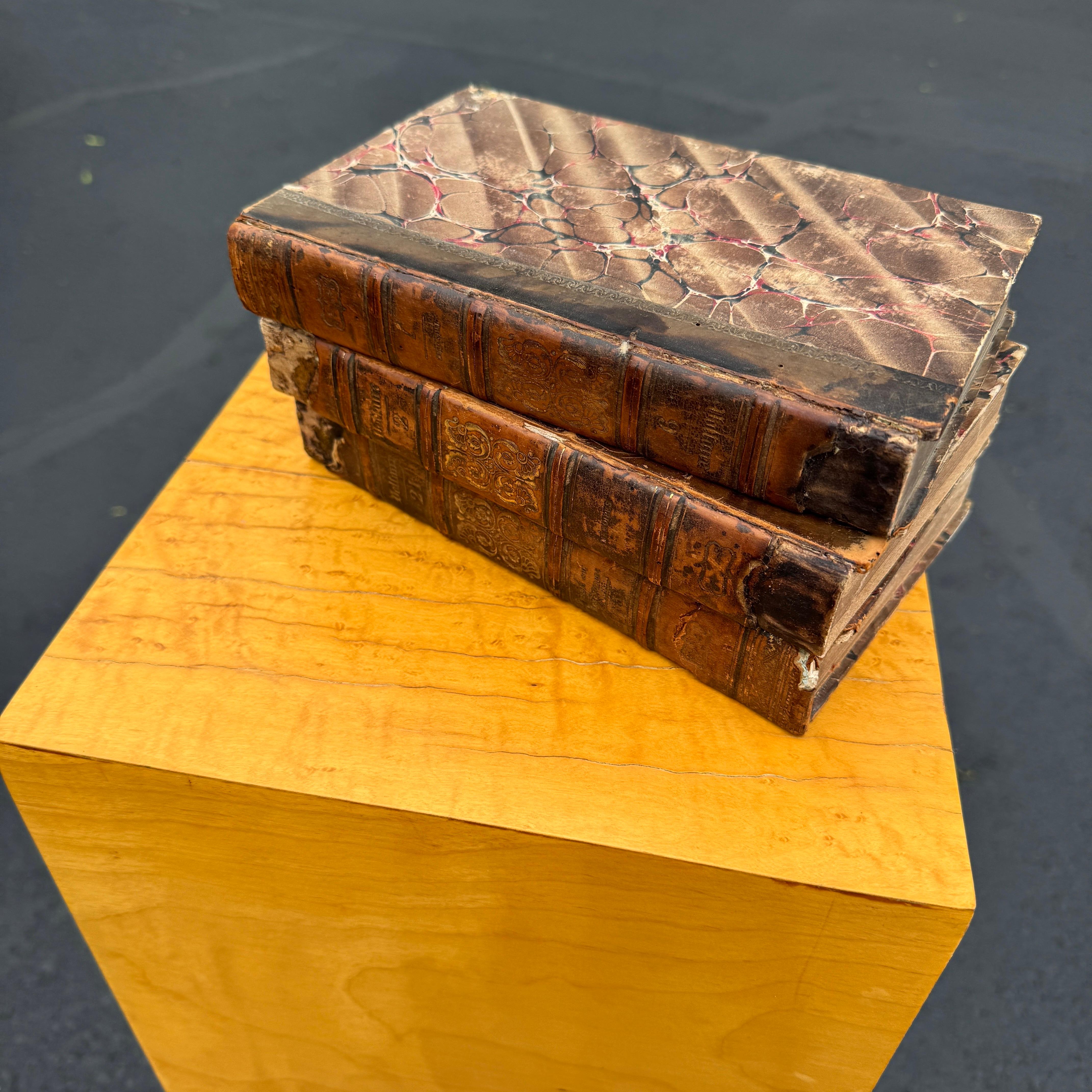 Pedestal cuadrado alto de madera de burl moderna de mediados de siglo en venta 1