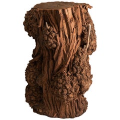 Antique Tall Tree Trunk Section