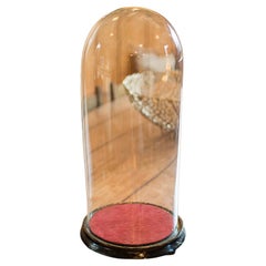 Tall Victorian Antique Collector's Dome, English Glass, Taxidermy Showcase, 1880