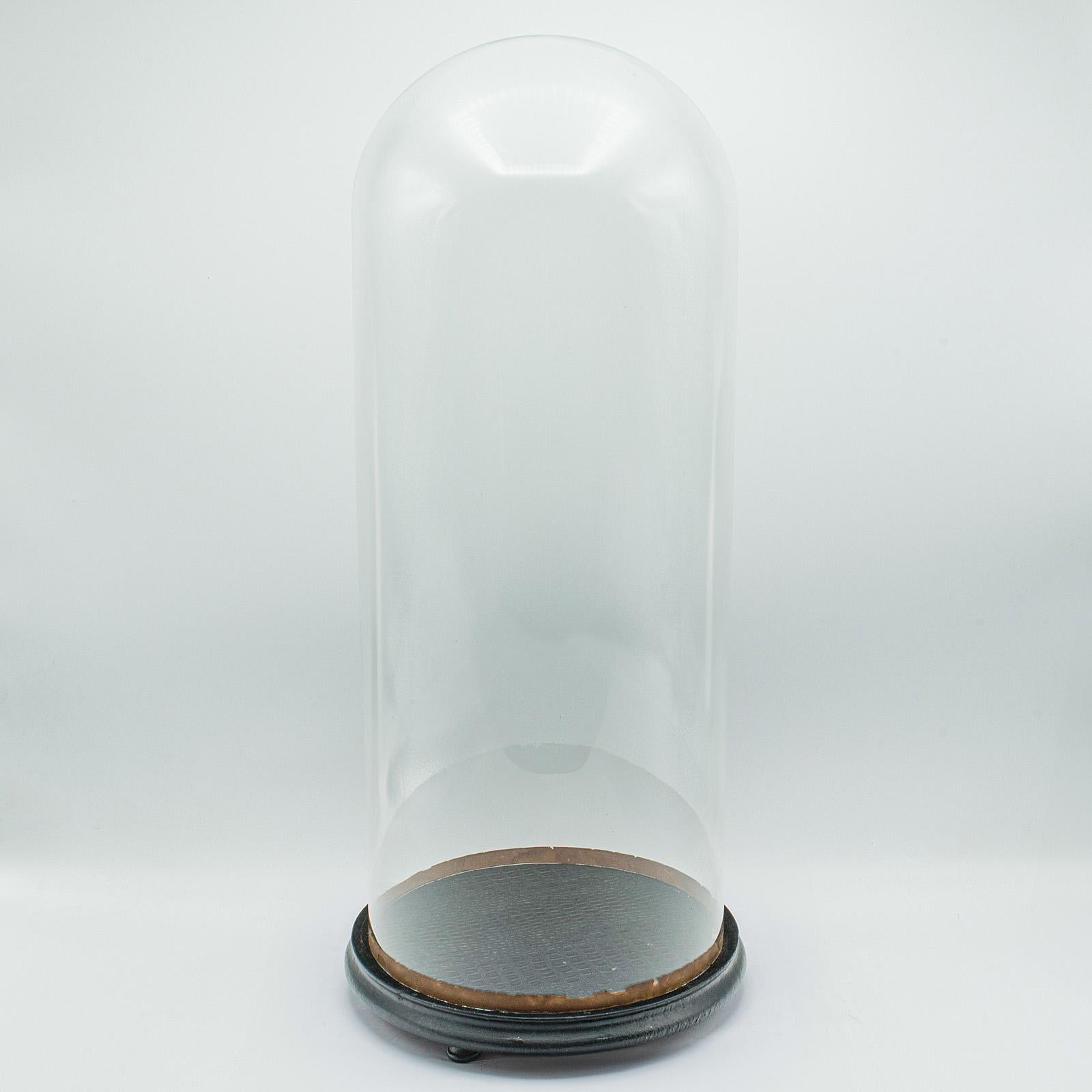 Tall Victorian Antique Specimen Showcase, English Glass, Taxidermy, Display Dome For Sale 4