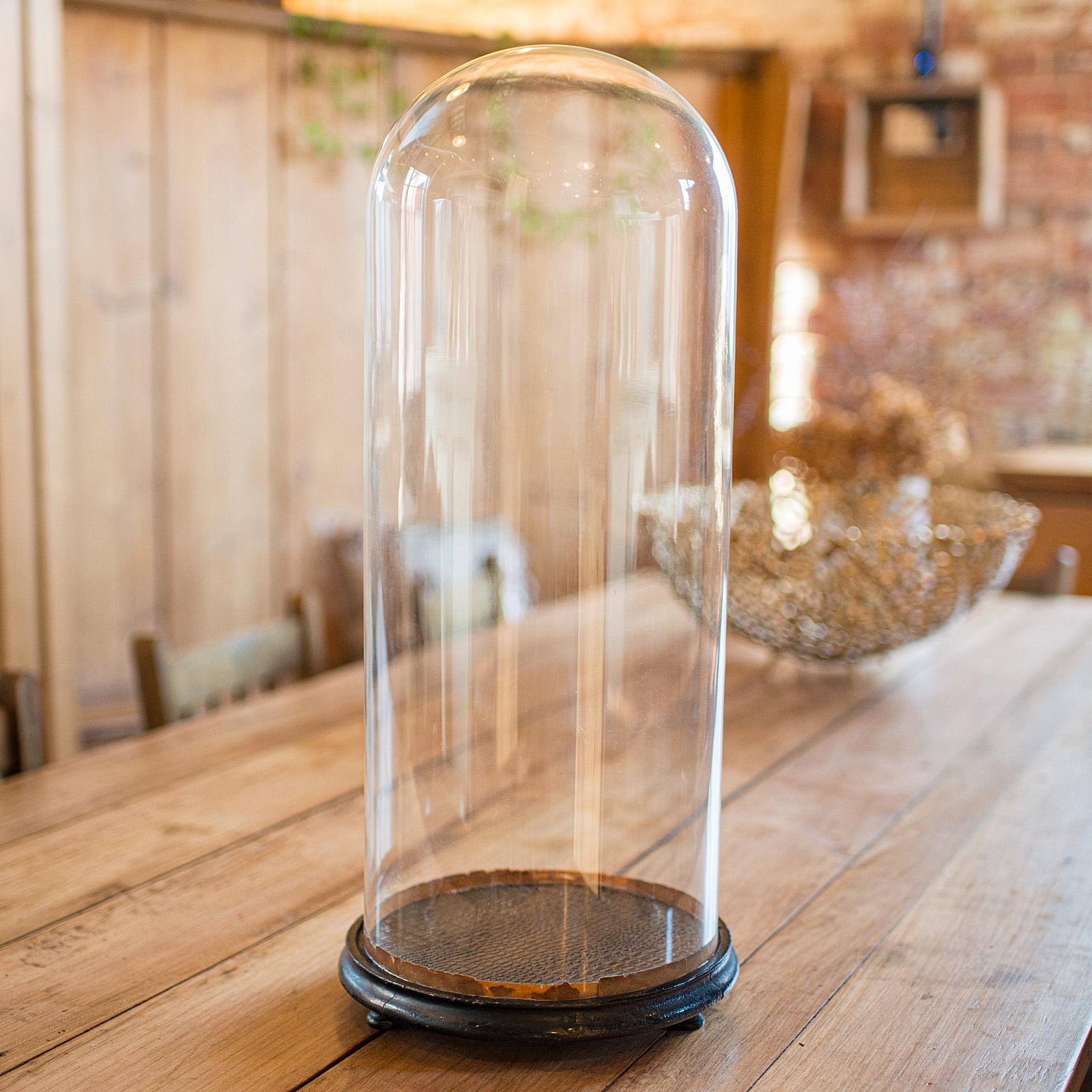Late Victorian Tall Victorian Antique Specimen Showcase, English Glass, Taxidermy, Display Dome For Sale