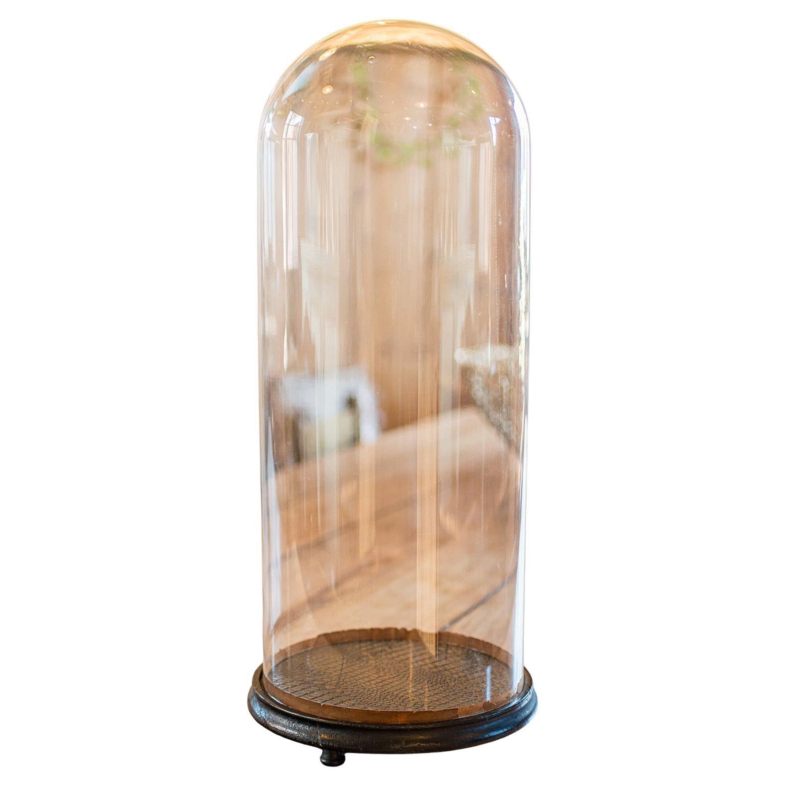 Vitrina Alta Victoriana Antigua, Cristal Inglés, Taxidermia, Cúpula de Exposición