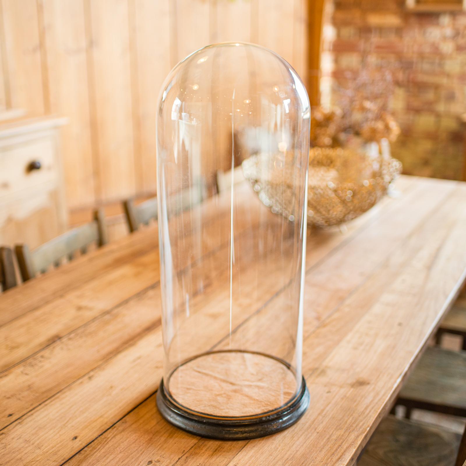 British Tall Victorian Antique Taxidermy Specimen Dome, English Glass Display Case, 1870 For Sale