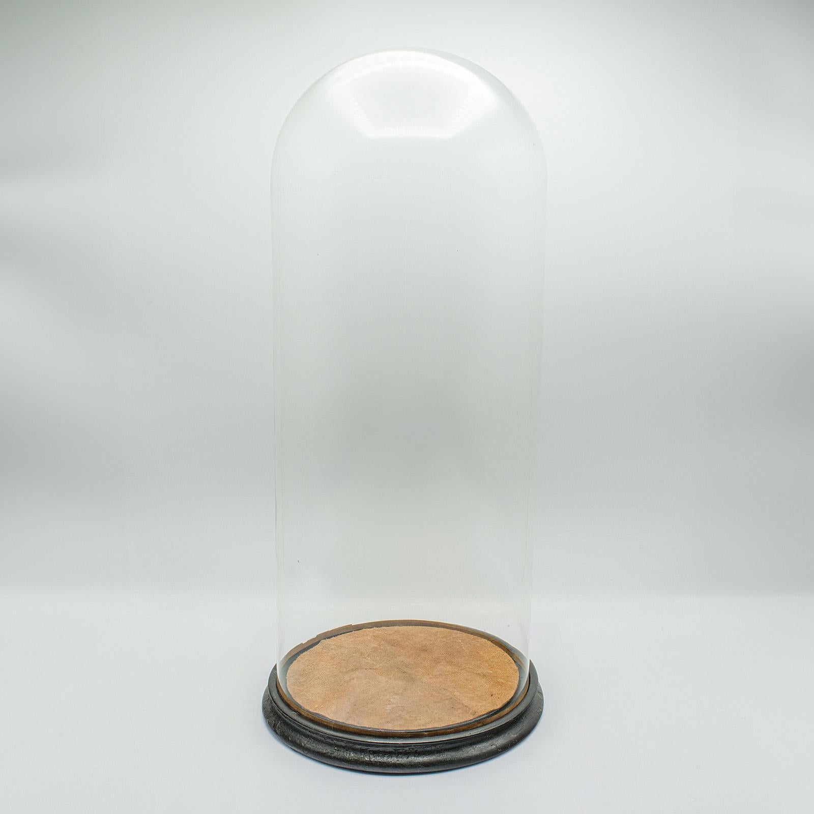 Tall Victorian Antique Taxidermy Specimen Dome, English Glass Display Case, 1870 For Sale 4