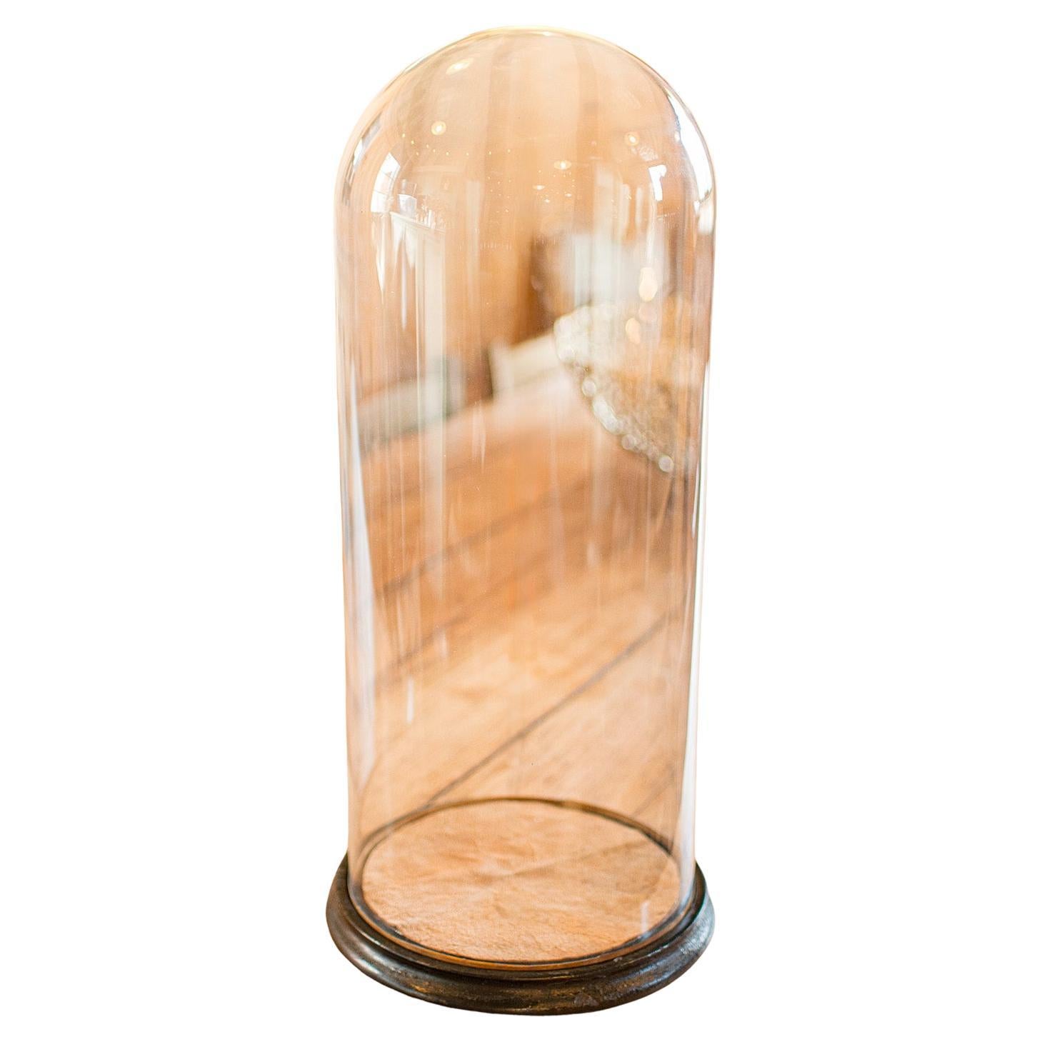 Tall Victorian Antique Taxidermy Specimen Dome, English Glass Display Case, 1870