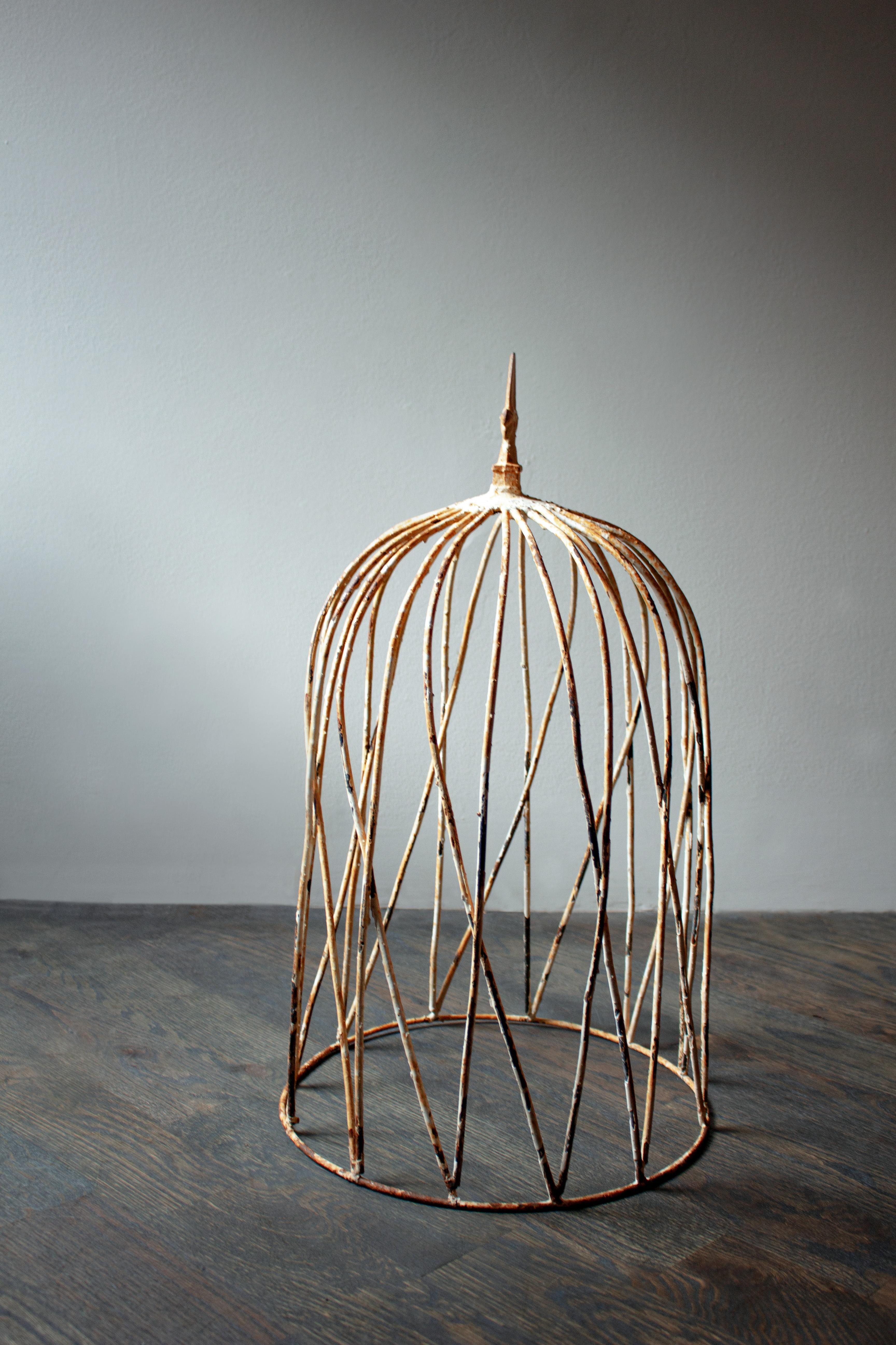 Authentically aged, this tall vintage cage is made of metal and originally finished with white paint. The antiqued paint gives character and history to the object. With fleur-de-lis emblem.
