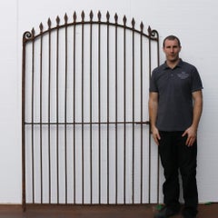 Tall Wrought Iron Arched Side Gate