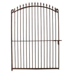 Tall Wrought Iron Arched Side Gate