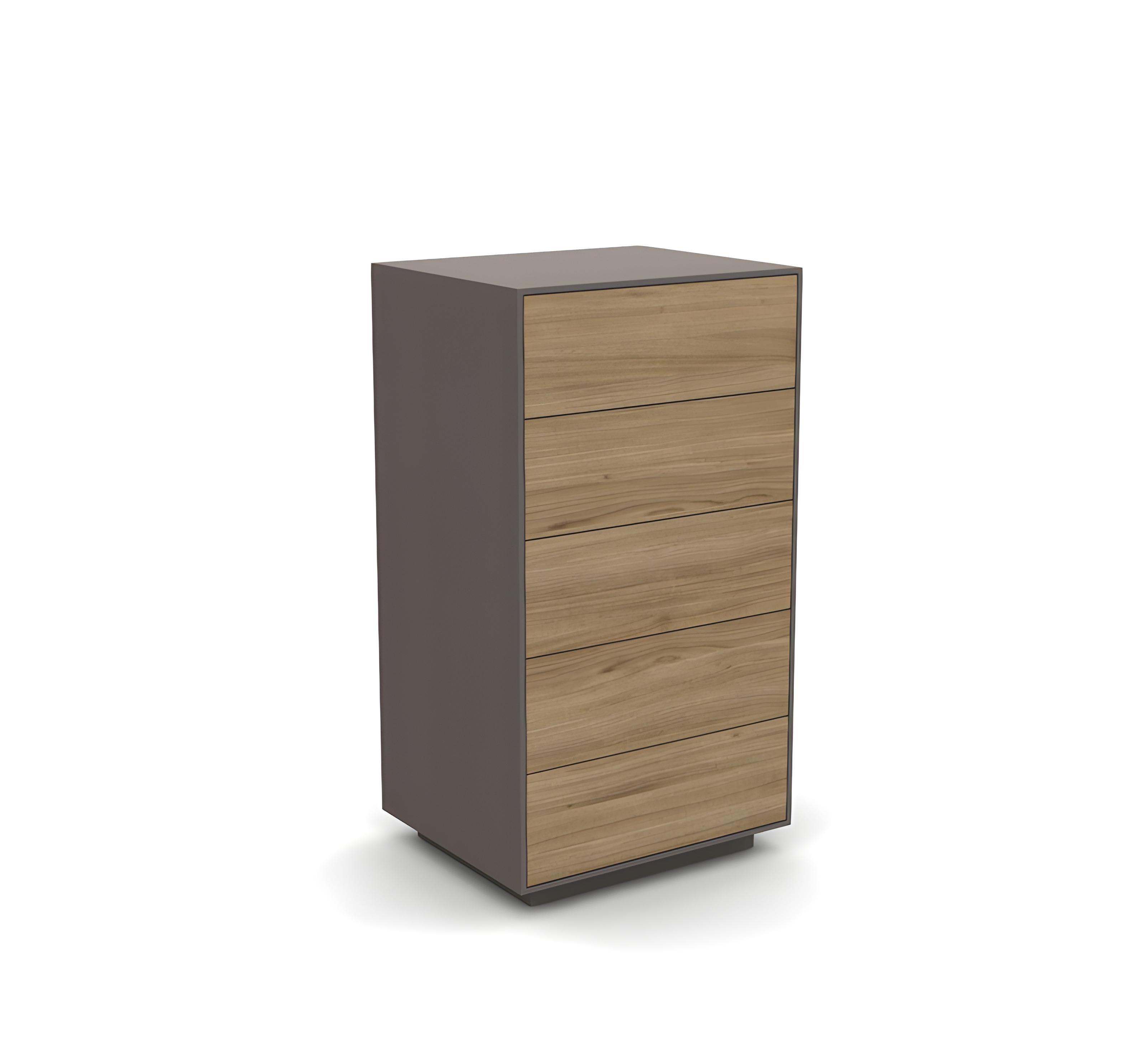 Cassettiera Tallboy, cinque cassetti Push-Pull In condizioni Nuovo in vendita a NEW YORK, NY