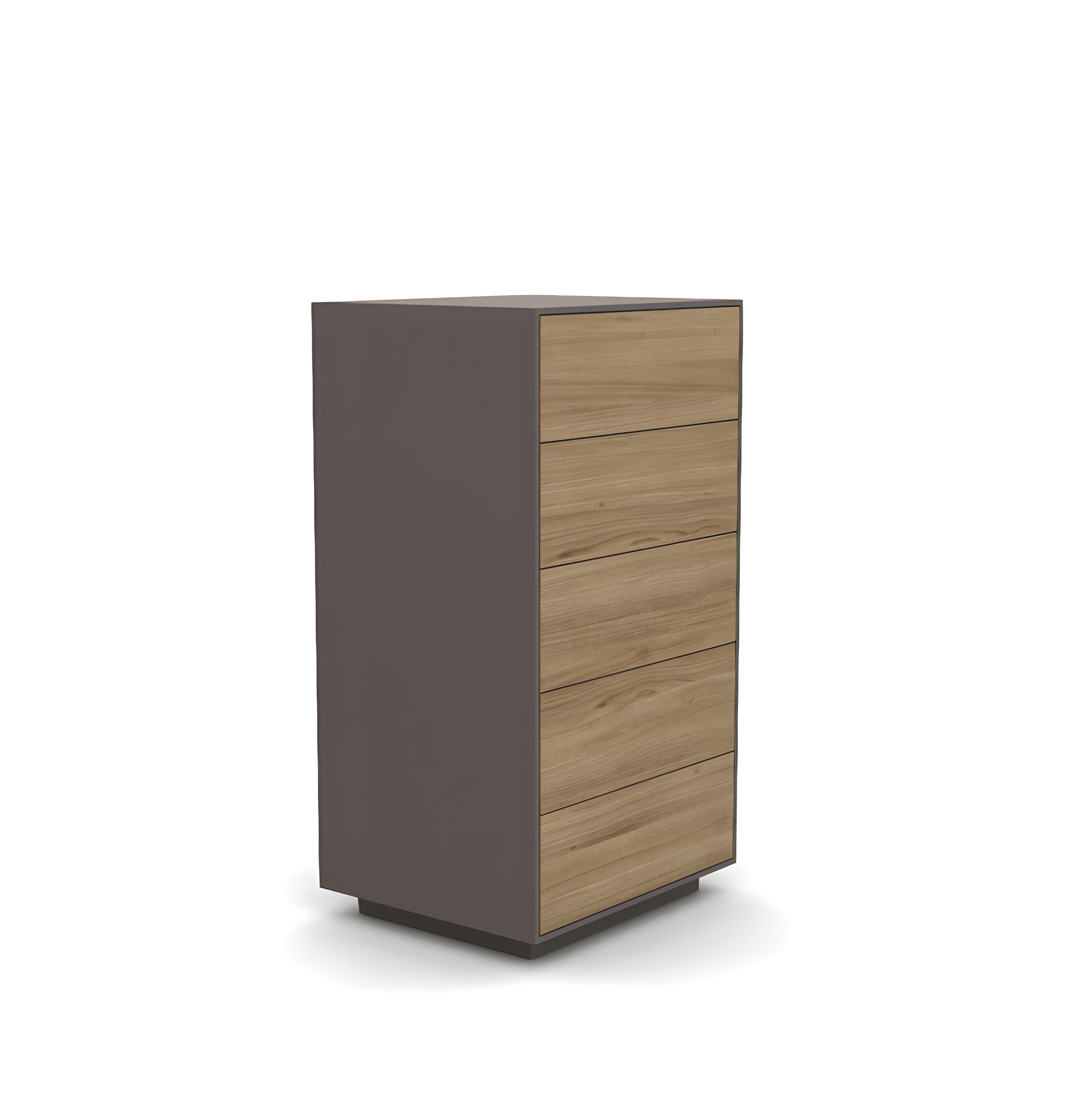 XXI secolo e contemporaneo Cassettiera Tallboy, cinque cassetti Push-Pull in vendita