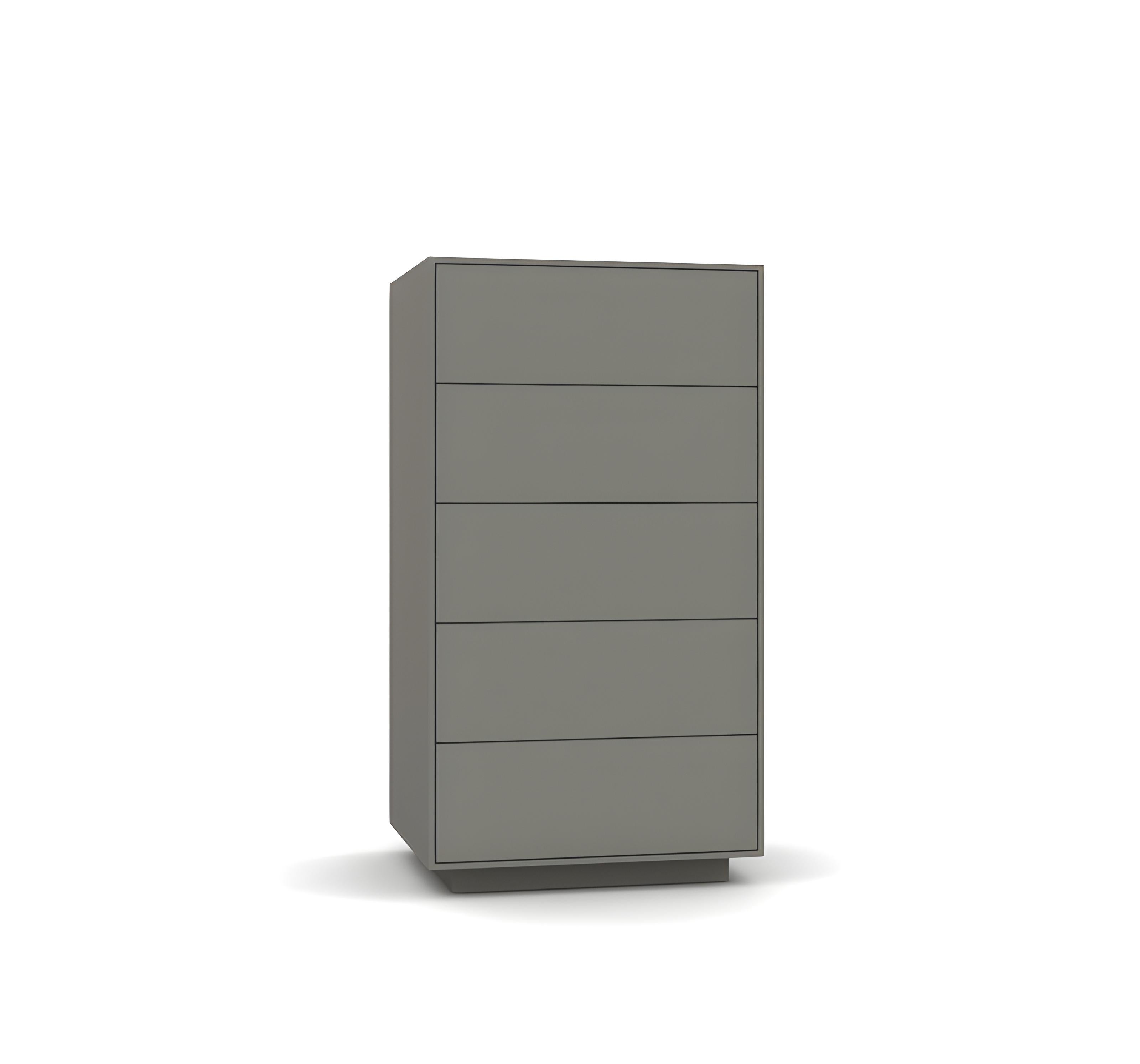 Cassettiera Tallboy, cinque cassetti Push-Pull in vendita 1