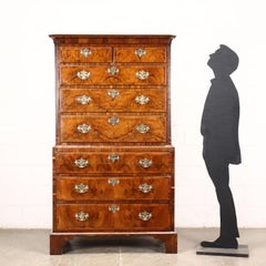 Tallboy George II Walnut Oak Great Britain XVIII Century