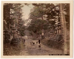 Kasuga at Nara – Original hand-colored Meiji Era photgraph, Japan