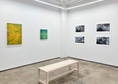 "Voices in the stream 15" 2024 oil pastel and charcoal on paper 22 x 29 in.