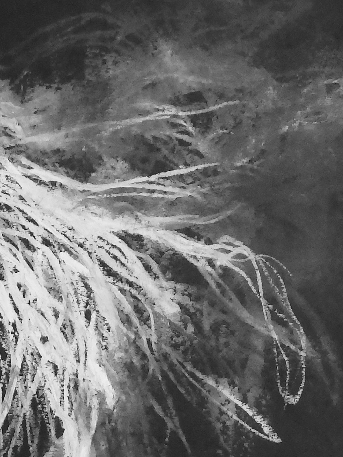 Voices in the stream 21, 2025 oil pastel and charcoal on paper - Painting by Tamar Zinn