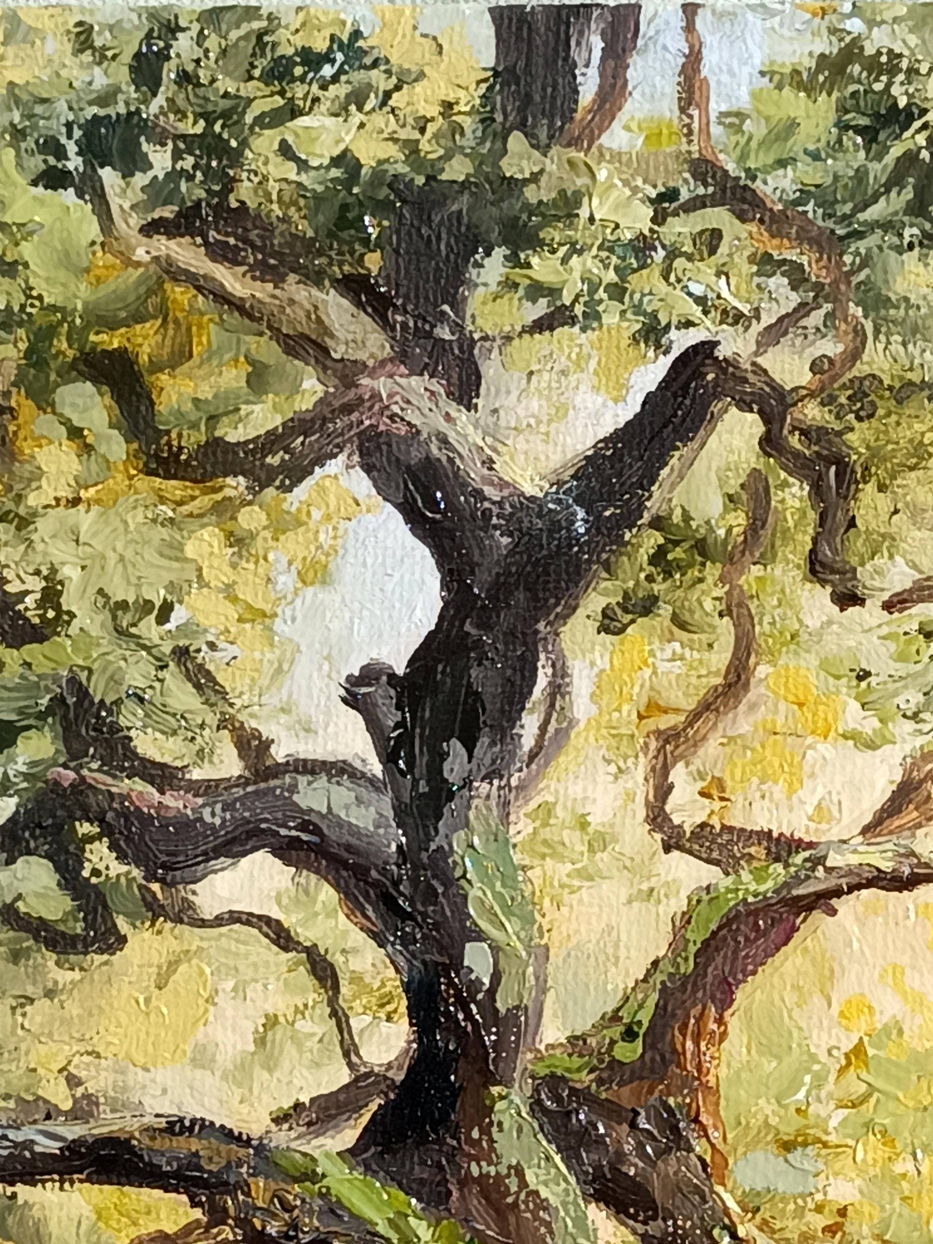 Chêne des anges. Peinture à l'huile d'un paysage en vente 2