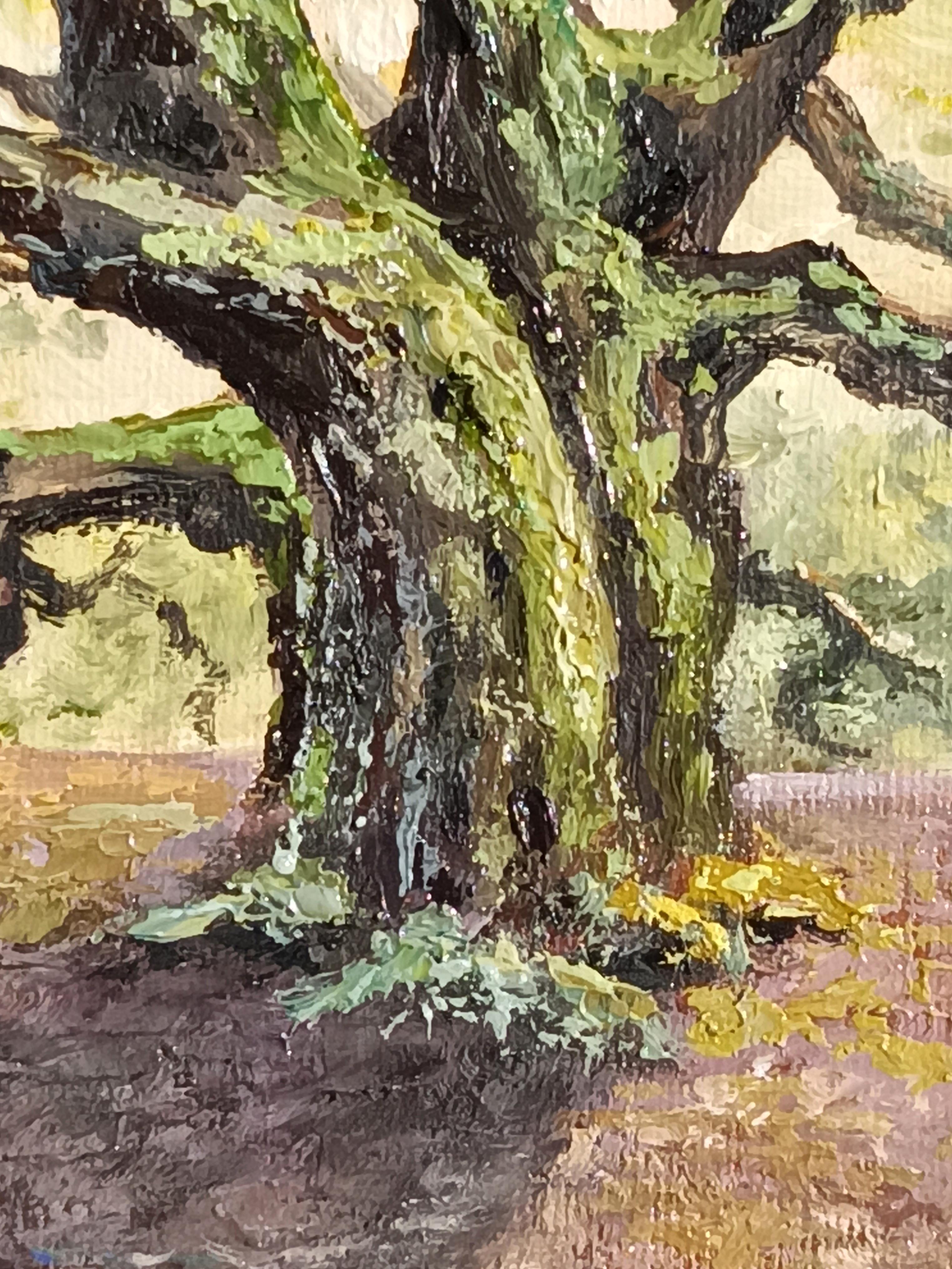 Chêne des anges. Peinture à l'huile d'un paysage en vente 3