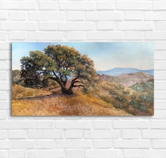 Attractive oak tree California Hills Landscape. Oil original painting