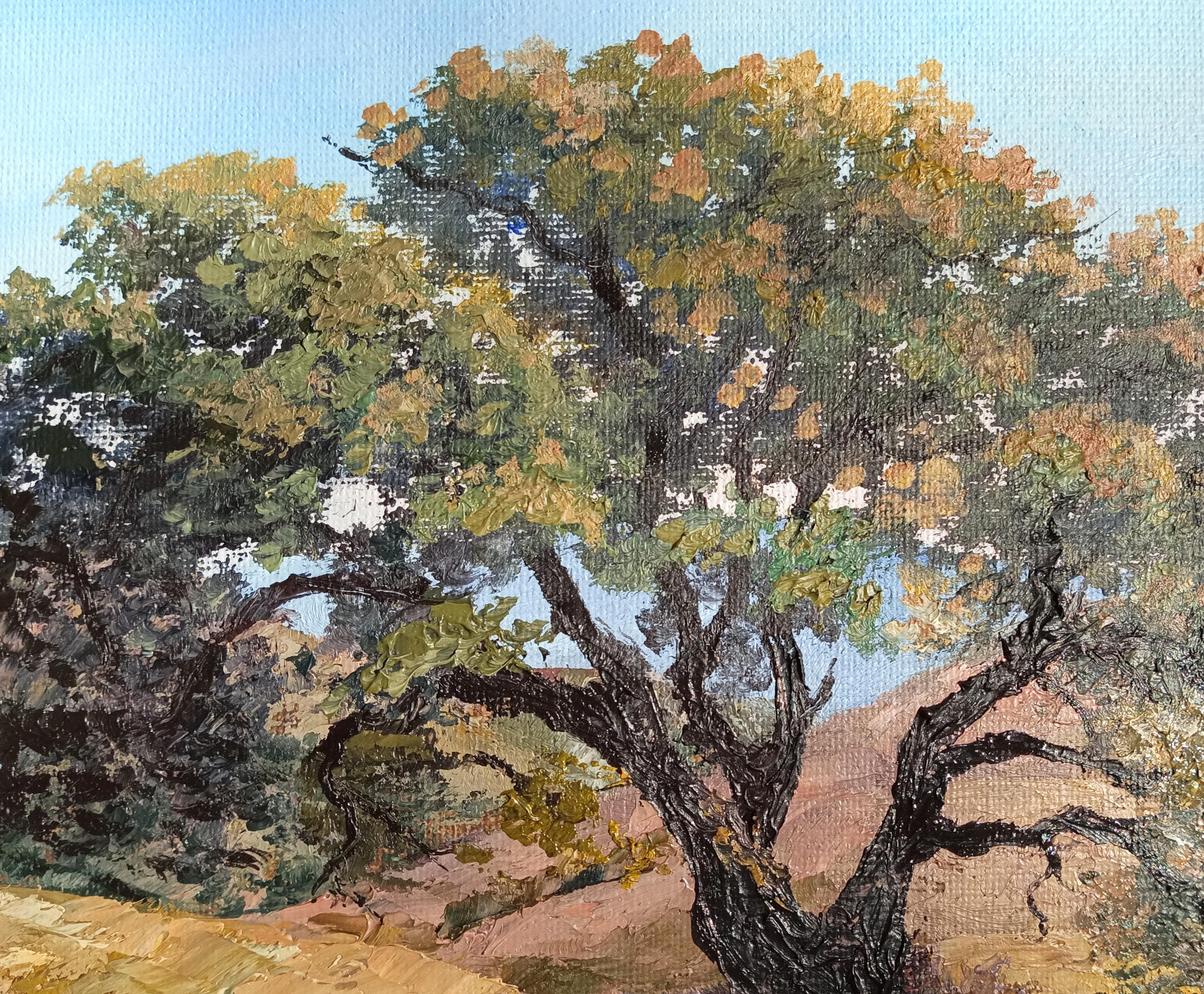 Come psicologo, ho esplorato numerose pratiche per la scoperta di sé. Durante una delle sessioni di formazione, ho imparato che l'Oak Oak simboleggia il legame con la famiglia. Questo albero maestoso, che vive per secoli, unisce le generazioni. Sono