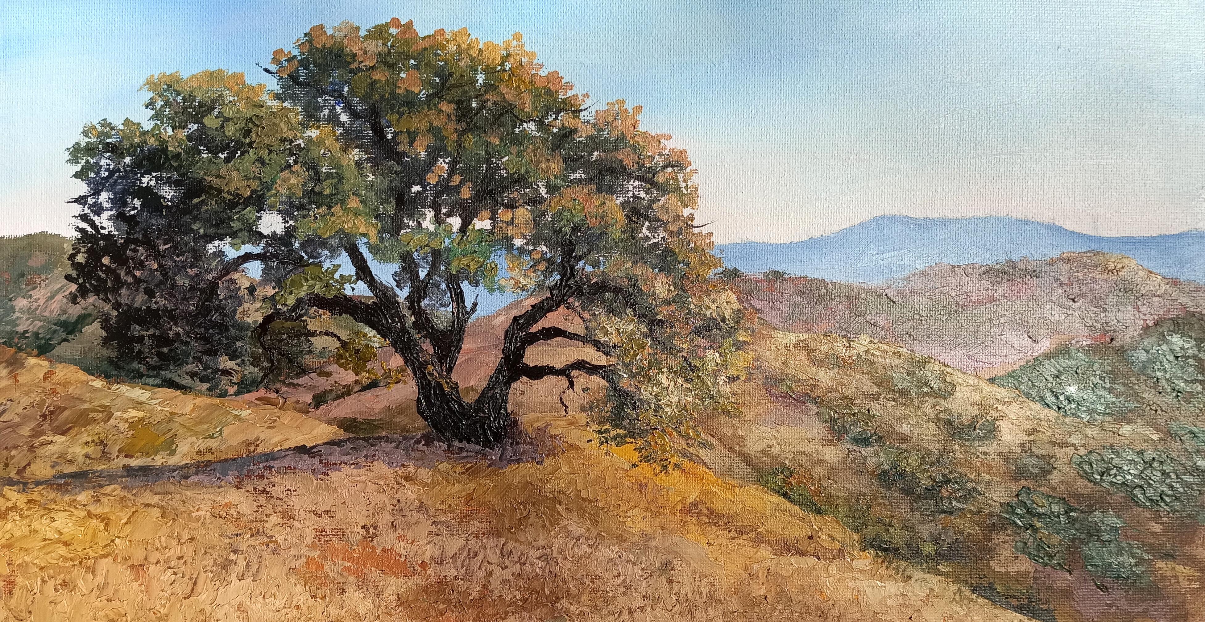 Attractive oak tree California Hills Landscape. Oil original painting