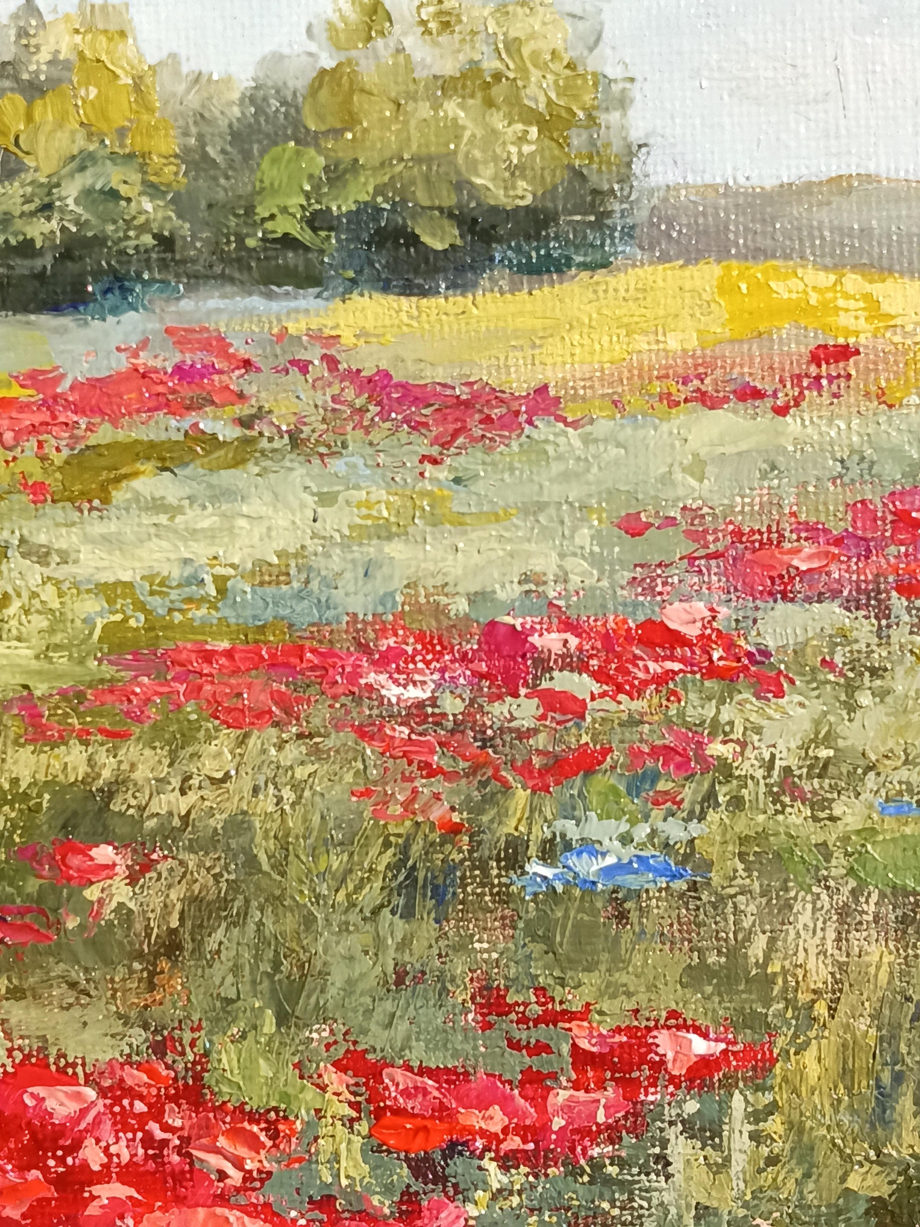Me encanta la llegada del verano, cuando los campos se llenan de un derroche de flores florecientes. Los dientes de león dan paso a las amapolas, y todo el prado parece cubierto de ellas, como si saludaran calurosamente al día soleado. Me encantaría