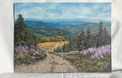 Mountain trail