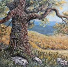Over the golden hills - Oak Tree Landscape