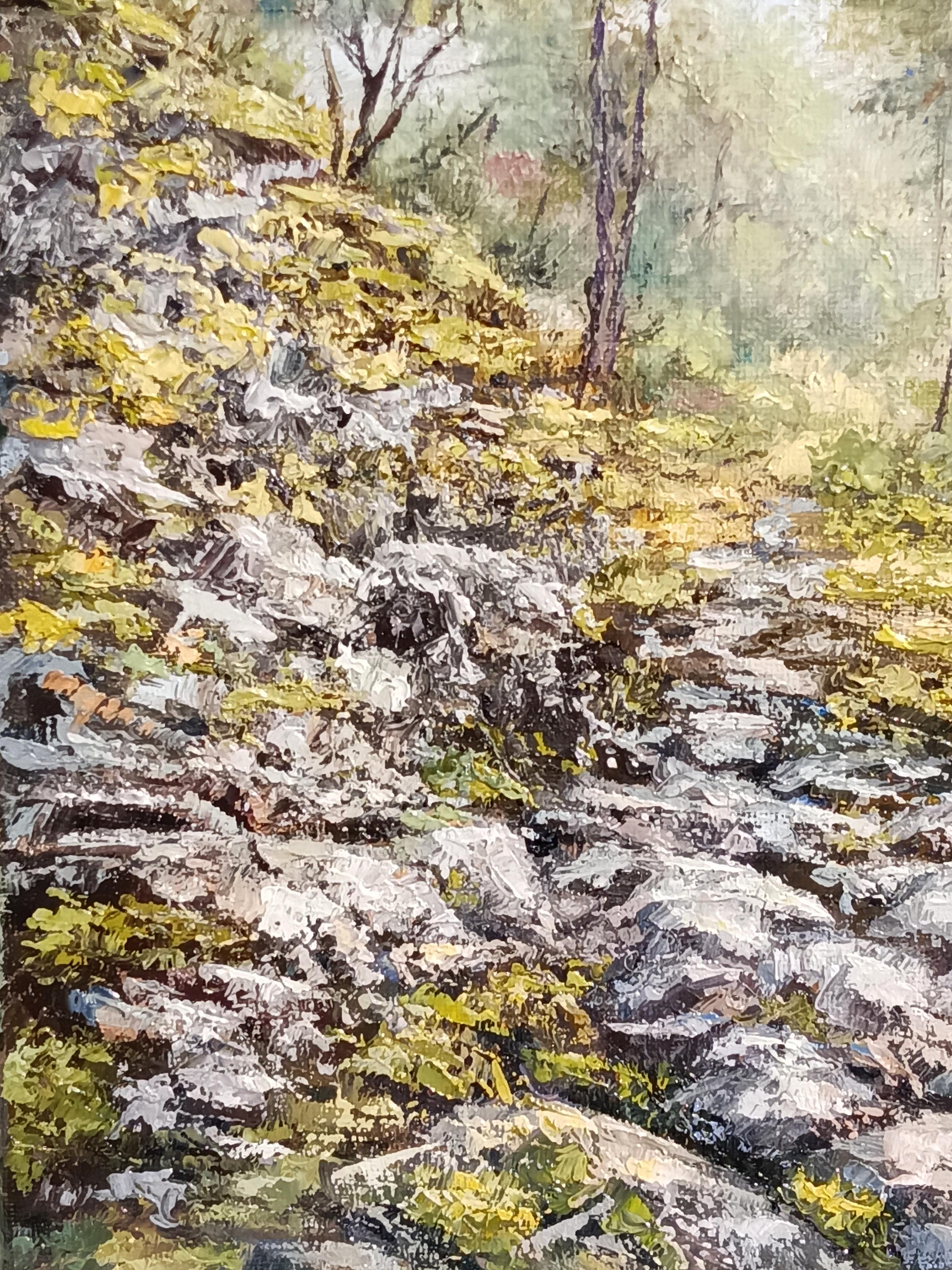La foresta è luminosa e invitante; gli alberi, come ballerini in un sereno balletto, fanno ondeggiare dolcemente i loro rami al vento, sussurrando dolcemente. Il loro silenzioso mormorio porta un profondo senso di appagamento all'anima. Ti sembra di