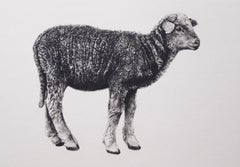 Lamb, Tammy Mackay, Art contemporain, Tirage en édition limitée, Art animalier