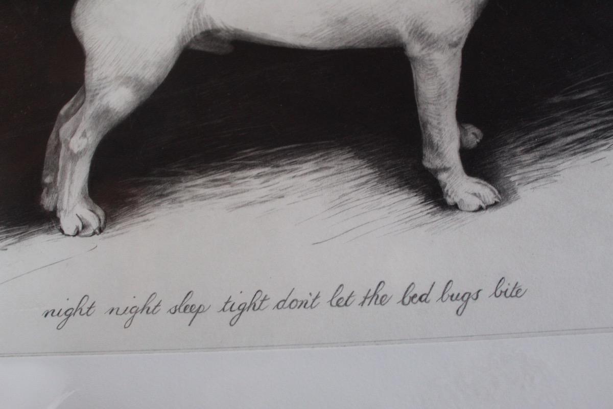 Night Night, Tammy Mackay, Limited edition print, Animal and Wildlife art For Sale 3