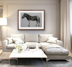Quagga, impression d'animaux, impression en édition limitée, art à prix abordable, art animalier