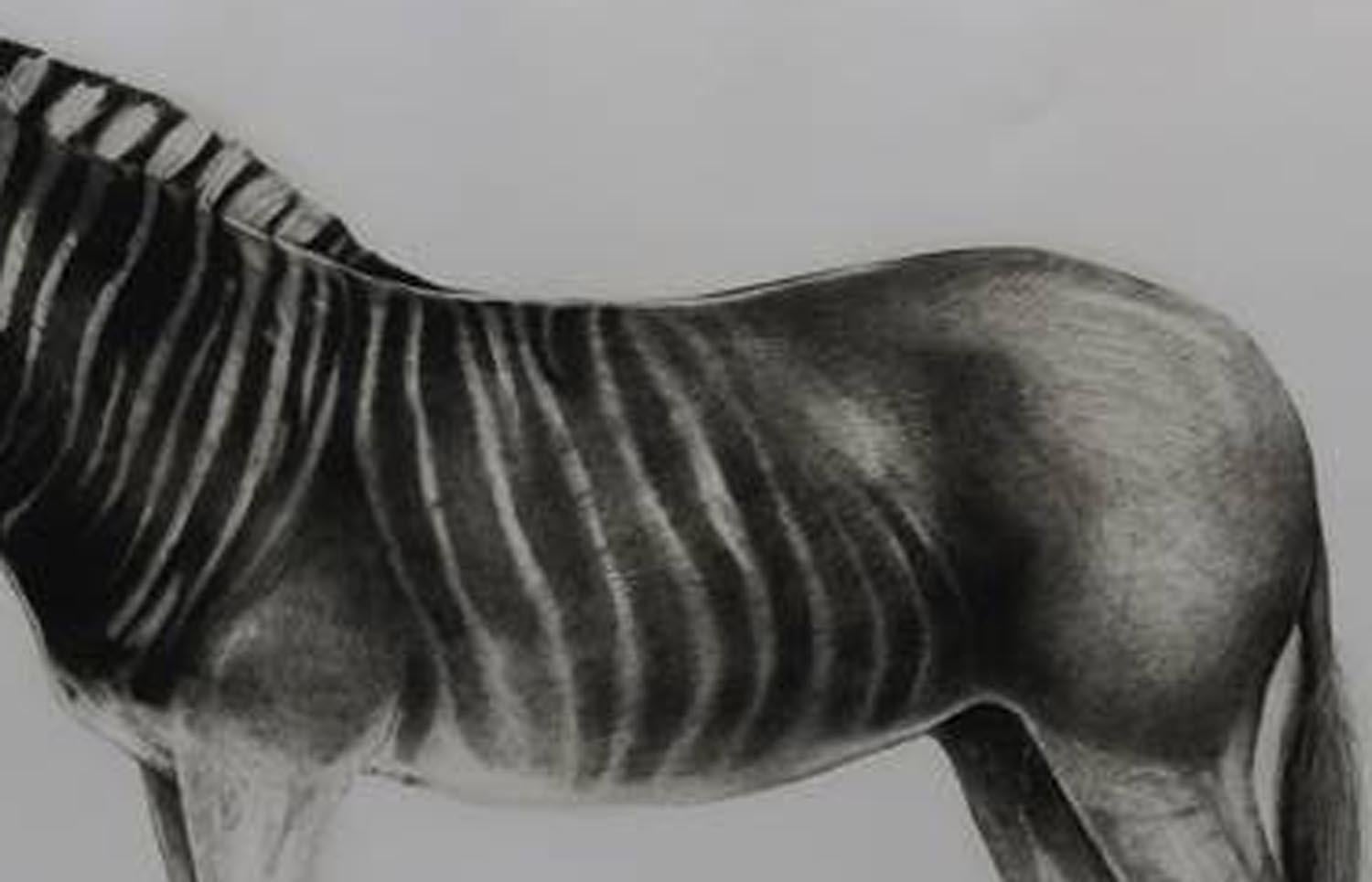 Quagga, animal print, limited edition print, affordable art for sale, Animal Art - Contemporary Print by Tammy Mackay