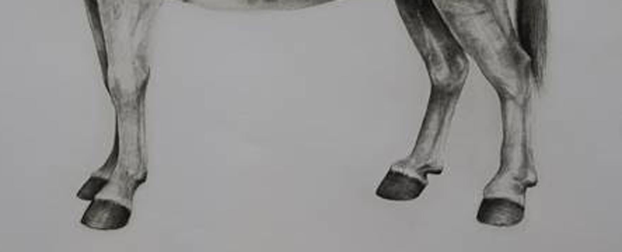 Quagga, stampa animale, stampa in edizione limitata, vendita arte a prezzi accessibili, Arte animale - Print Grigio di Tammy Mackay