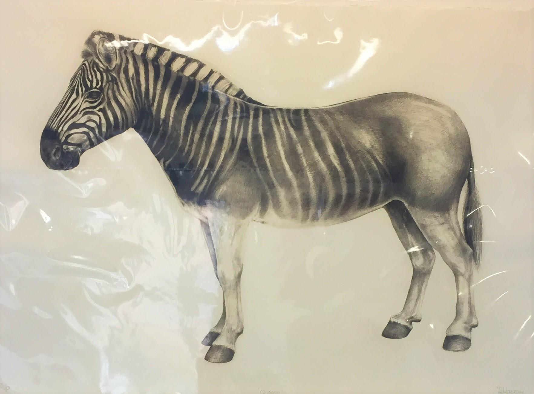 Quagga, Tierdruck, Druck in limitierter Auflage, erschwingliche Kunst zum Verkauf, Tierkunst im Angebot 1