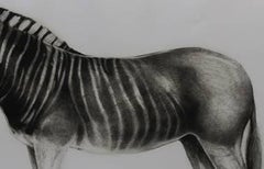 Quagga, Tierdruck, Druck in limitierter Auflage, erschwingliche Kunst zum Verkauf