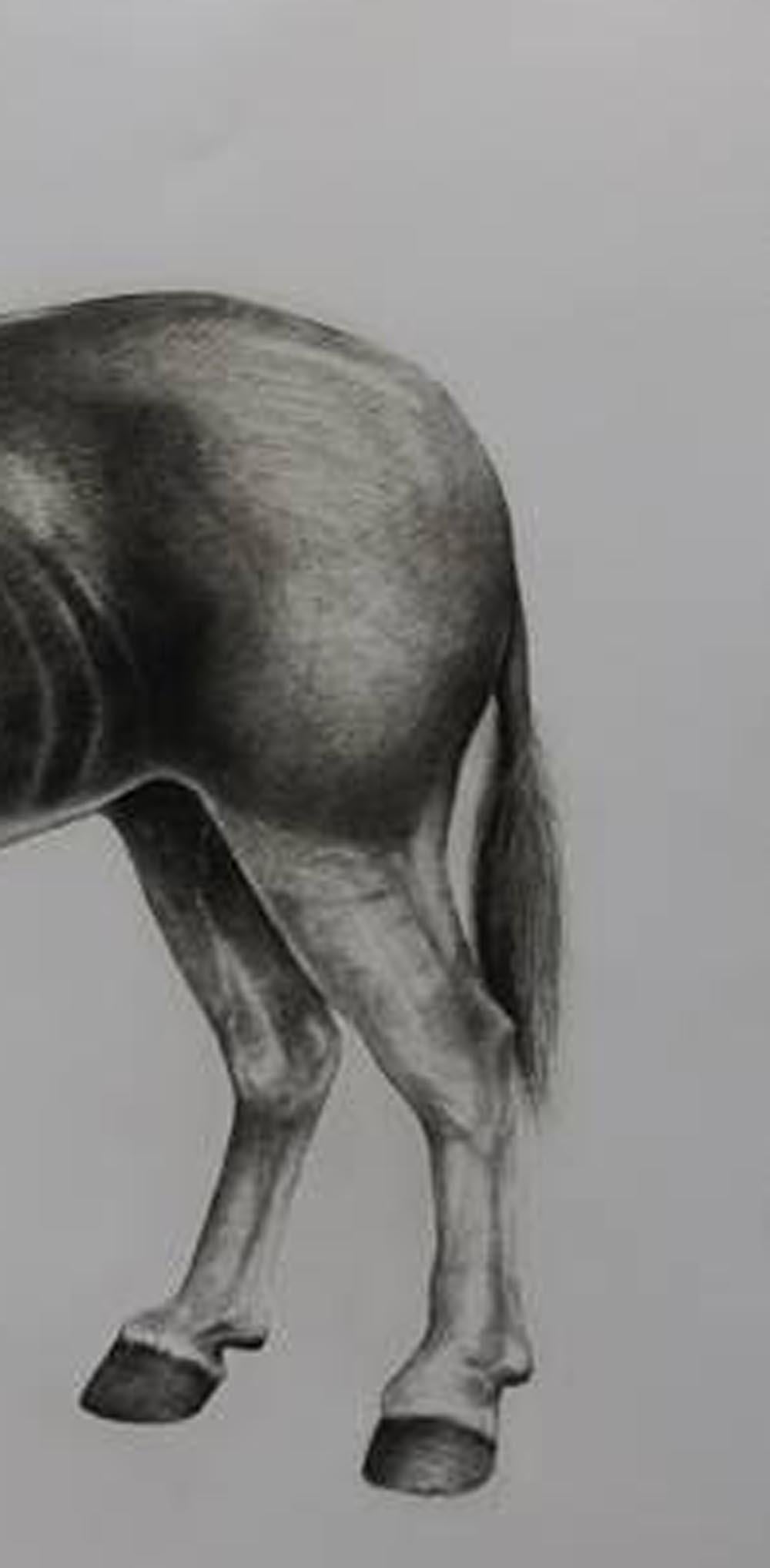 Quagga, impresión de animales, impresión de edición limitada, arte asequible en venta - Print Gris de Tammy Mackay