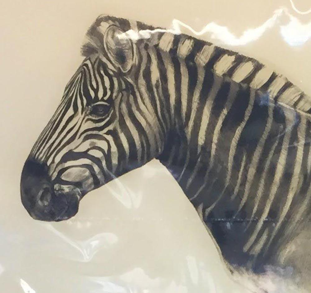 Quagga, animal print, limited edition print, affordable art for sale - Contemporary Print by Tammy Mackay