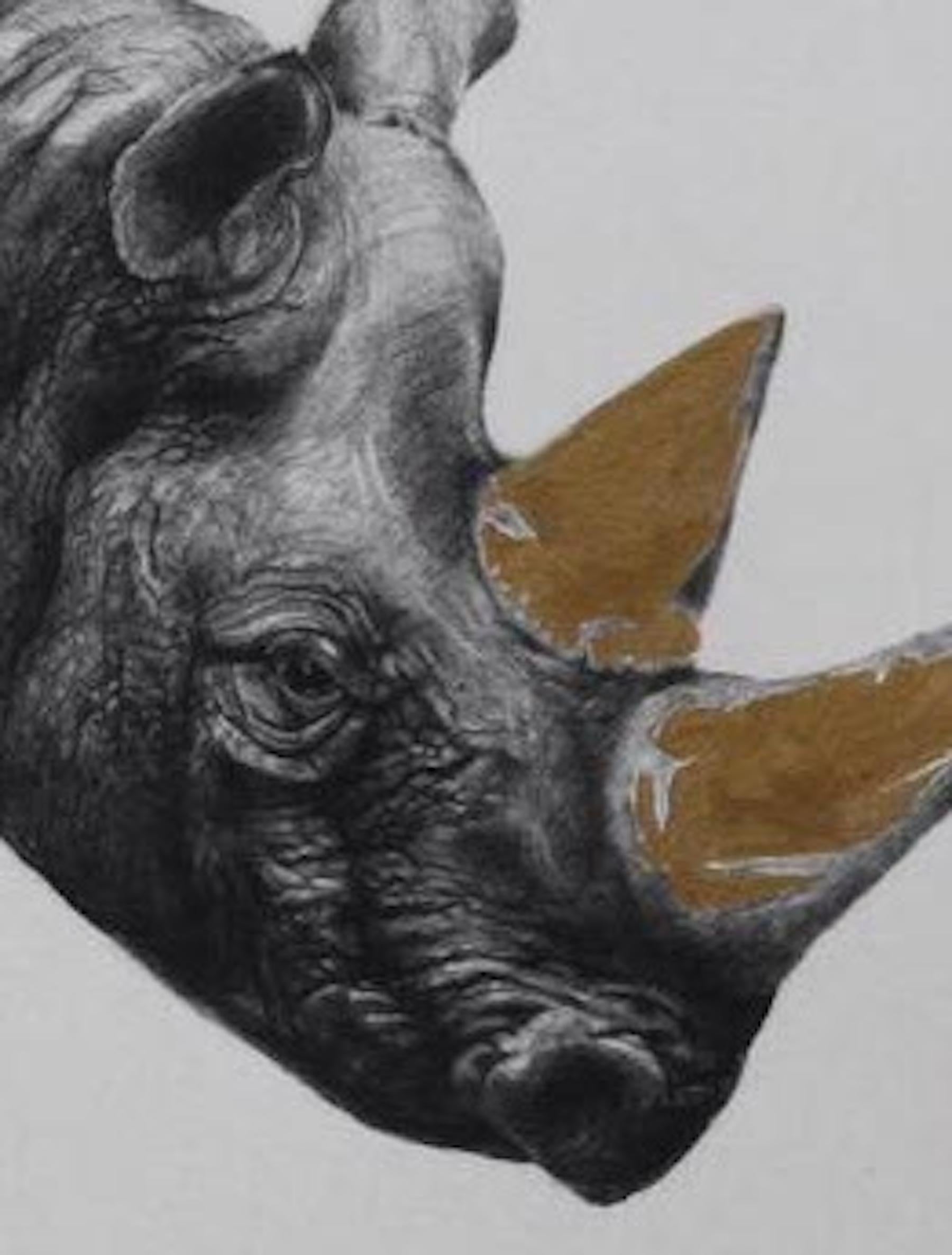 Rhinoceros (État II), Art des animaux sauvages, Art réaliste, Art noir et blanc - Réalisme Print par Tammy Mackay