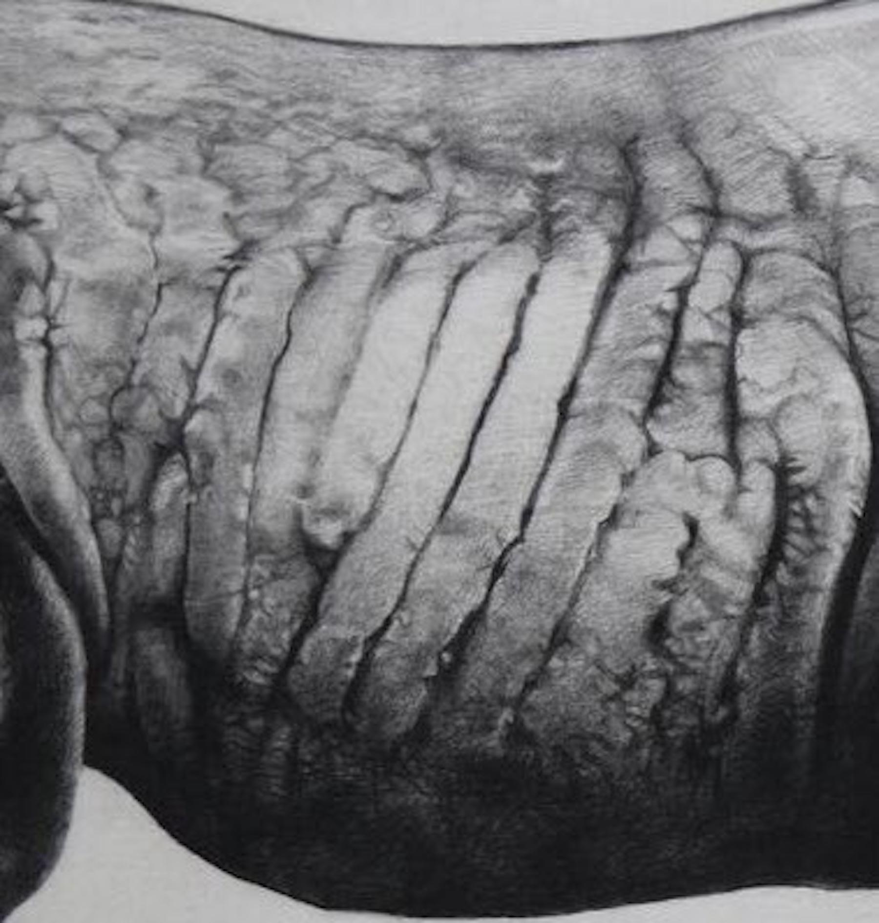 Rhinoceros (État II), Art des animaux sauvages, Art réaliste, Art noir et blanc - Gris Animal Print par Tammy Mackay