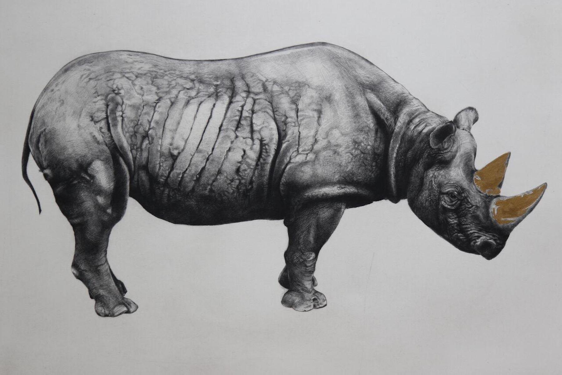 Tammy Mackay Animal Print - Rhinoceros (State II), Wild Animal Art, Realist Art, Black white and gold art