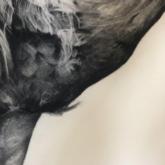 Dodo de Rowland (Version II), Impression d'art, Photopolymère, beaux-arts, réaliste