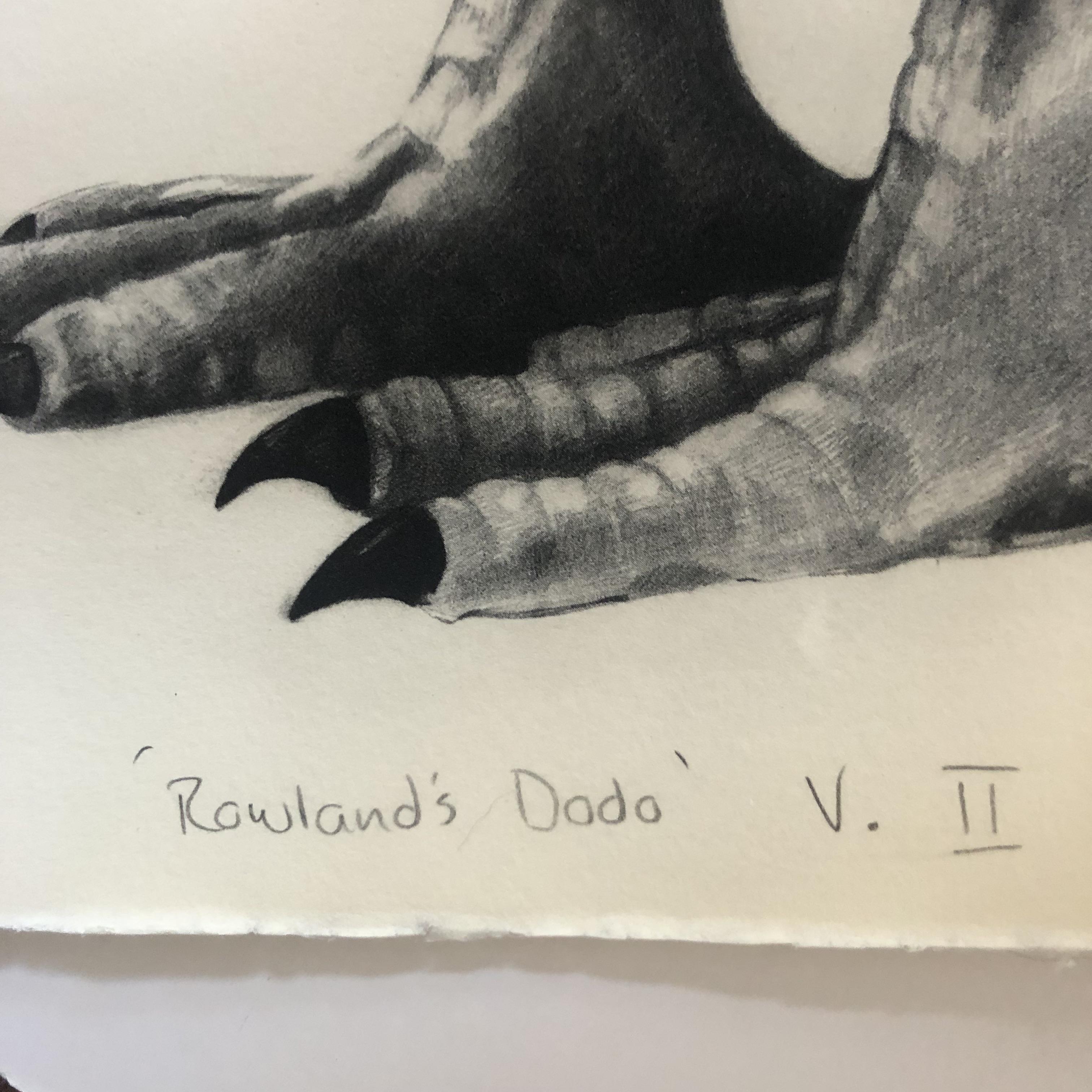 Rowland's Dodo (Version II) est un tirage photopolymère en édition limitée sur papier Somerset blanc doux, réalisé par Tammy Mackay. L'impression en noir et blanc est très détaillée et pourrait facilement être confondue avec un