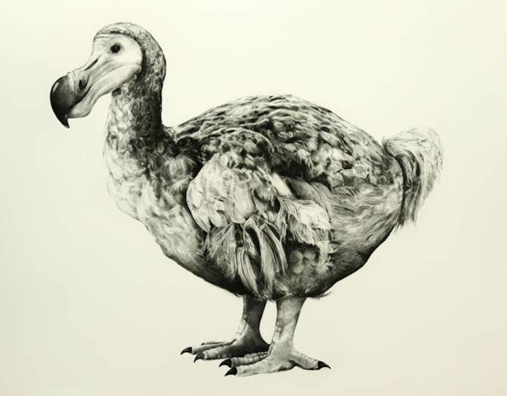Tammy Mackay Animal Print - Rowland’s Dodo (Version II), Art Print, Photopolymer, fine art, realist