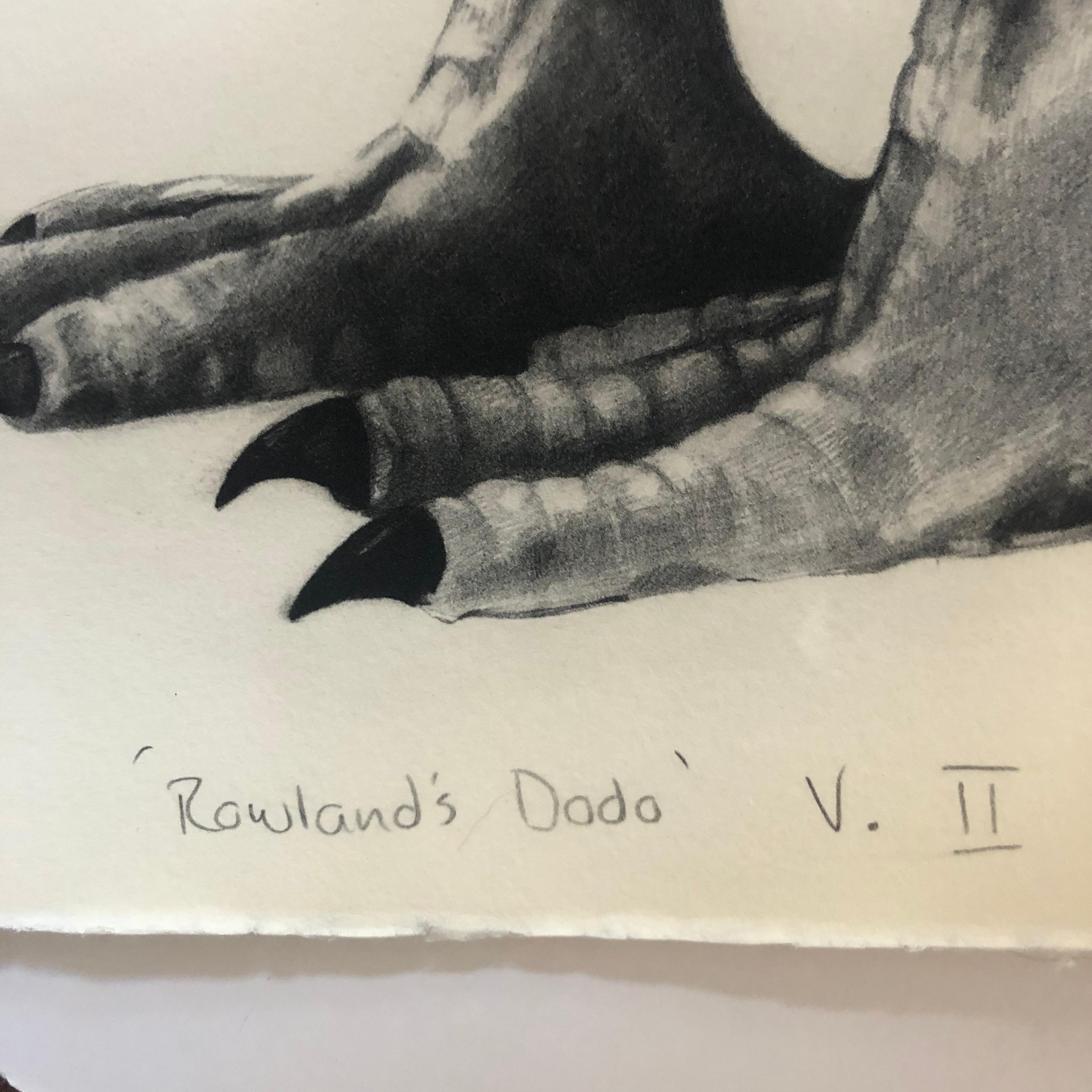 Tammy Mackay
Il dodo di Rowland (versione II)
Stampa in fotolimero in edizione limitata
Edizione di 30 esemplari
Dimensioni: H. 56,5 cm x L. 75 cm x P. 0,1 cm
Venduto senza cornice
(Tieni presente che le immagini in situ sono puramente indicative