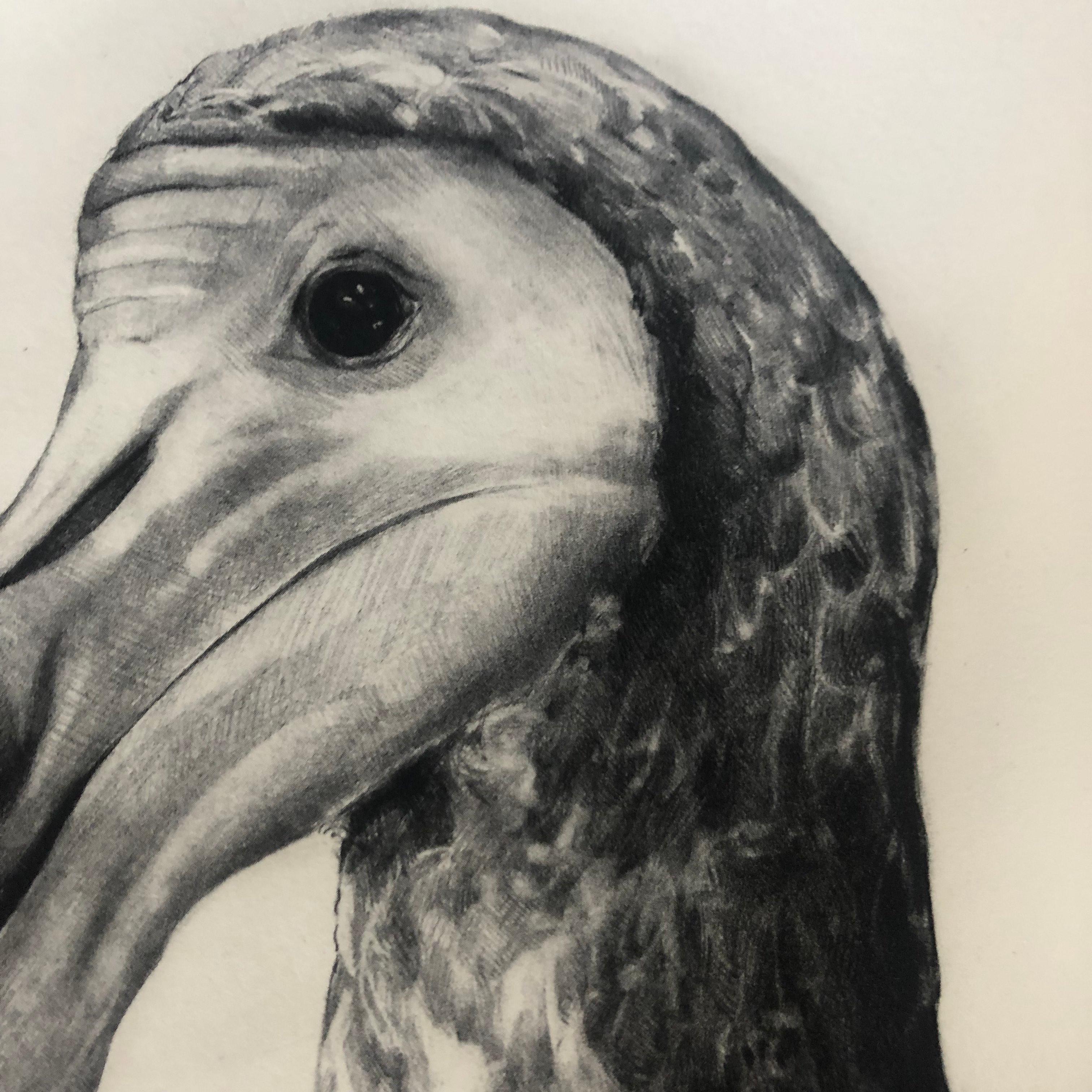 Rowlands Dodo (Version II) von TAMMY MACKAY, Tierkunst, zeitgenössische Drucke im Angebot 2