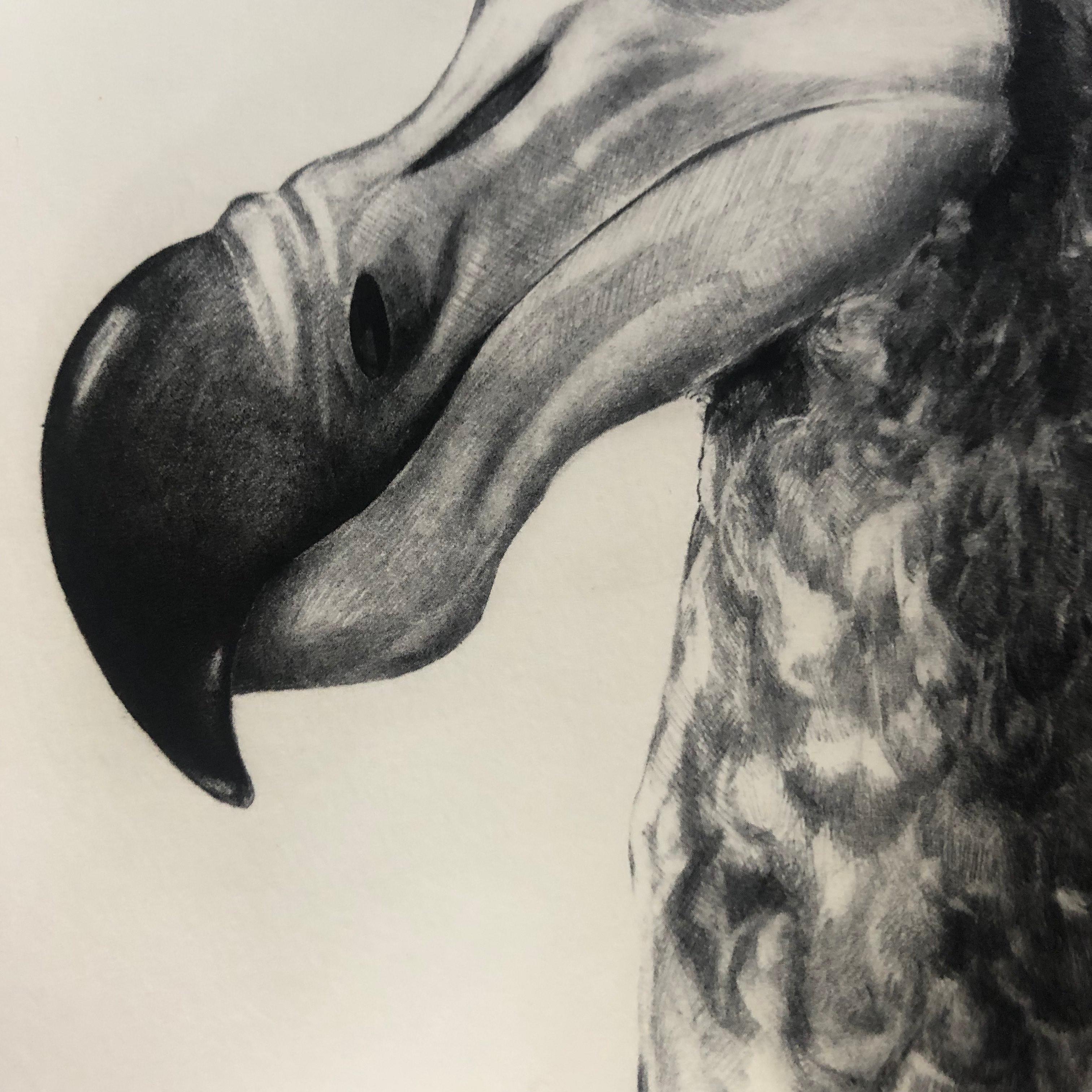 Rowlands Dodo (Version II) von TAMMY MACKAY, Tierkunst, zeitgenössische Drucke im Angebot 4