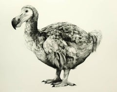 Il dodo di Rowland (versione II) DI TAMMY MACKAY, Arte animale, Stampe contemporanee